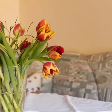 Trillerhof Gasthuis Ramsau am Dachstein