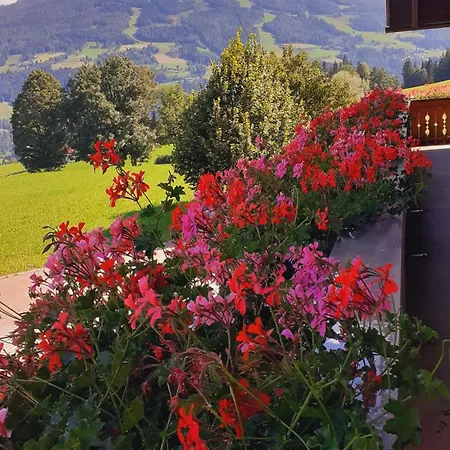 Gasthuis Trillerhof Ramsau am Dachstein