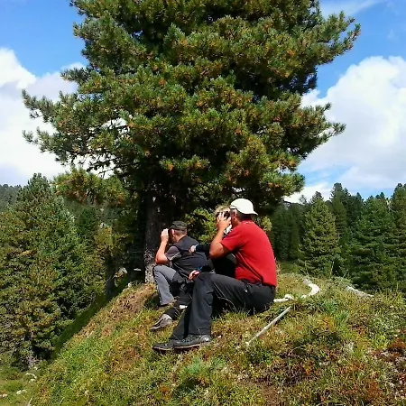 Affittacamere Trillerhof Ramsau am Dachstein