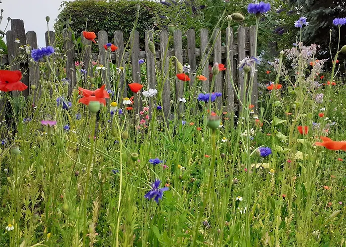 Guest house Trillerhof