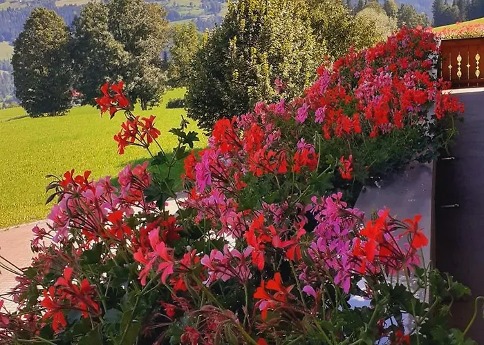 Guest house Trillerhof Ramsau am Dachstein