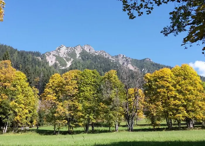 Trillerhof Guest house Ramsau am Dachstein