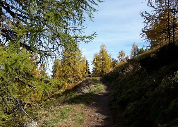 Trillerhof Guest house Ramsau am Dachstein