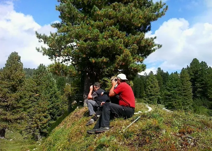 Guest house Trillerhof Ramsau am Dachstein
